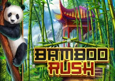 Bamboo Rush game screenshot